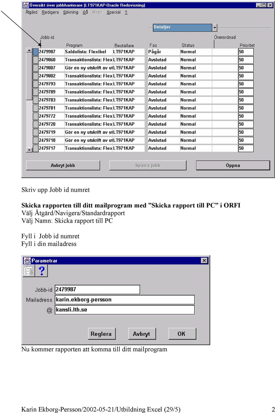 rapport till PC Fyll i Jobb id numret Fyll i din mailadress Nu kommer rapporten