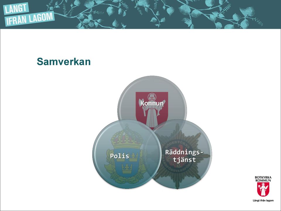 Polis