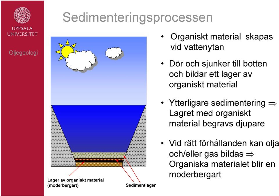 (moderbergart) Sedimentlager Ytterligare sedimentering Lagret med organiskt material begravs