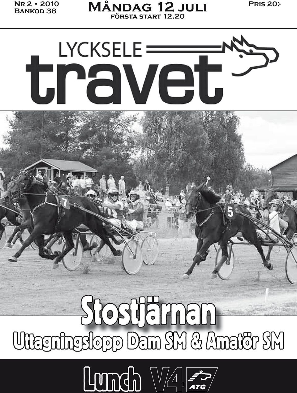 20 Pris 20:- Stostjärnan