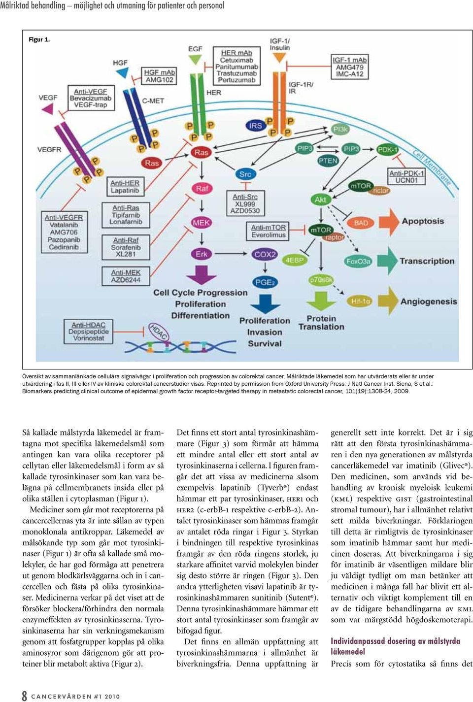 Reprinted by permission from Oxford University Press: J Natl Cancer Inst. Siena, S et al.