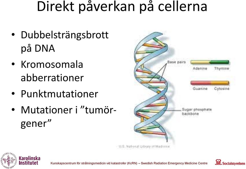 Kromosomala abberrationer