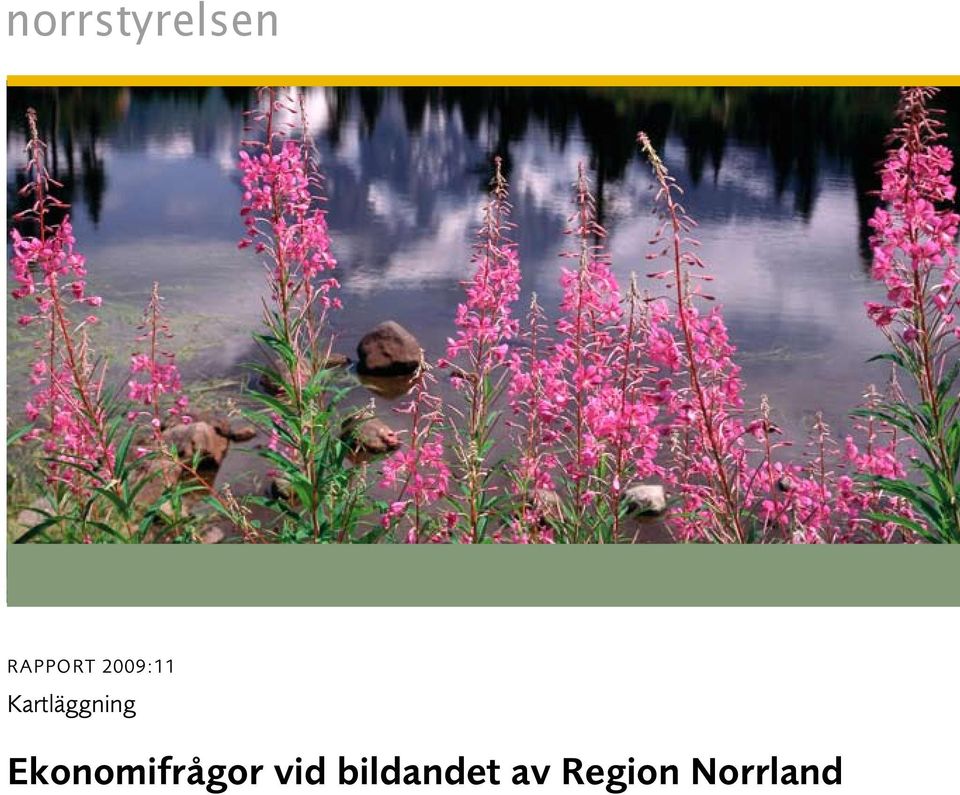 bildandet av Region Norrland