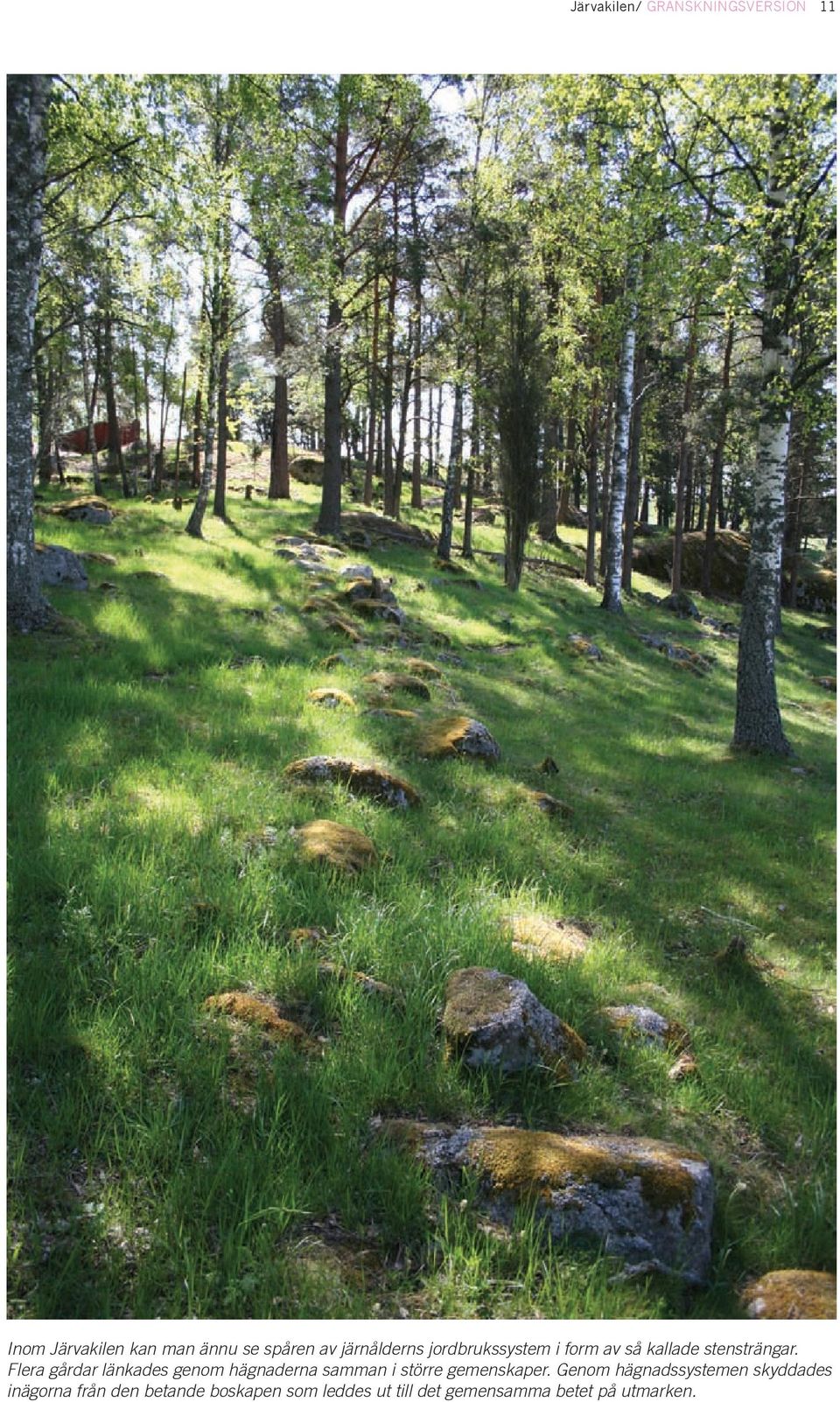 Flera gårdar länkades genom hägnaderna samman i större gemenskaper.