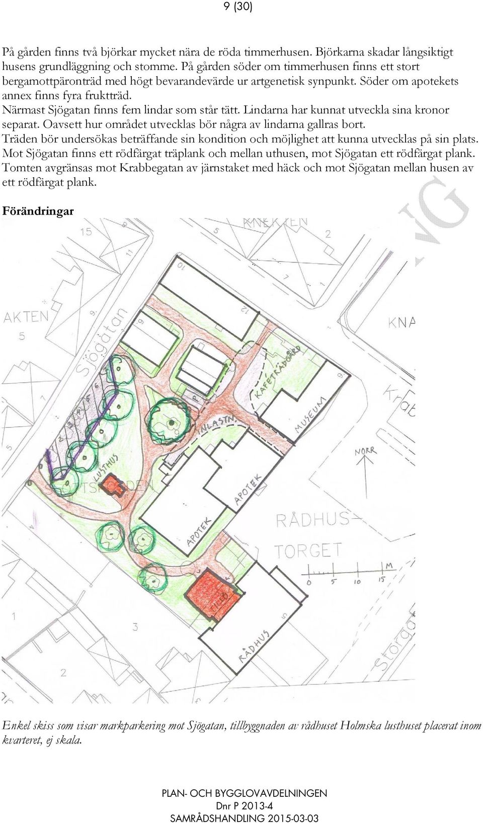 Närmast Sjögatan finns fem lindar som står tätt. Lindarna har kunnat utveckla sina kronor separat. Oavsett hur området utvecklas bör några av lindarna gallras bort.