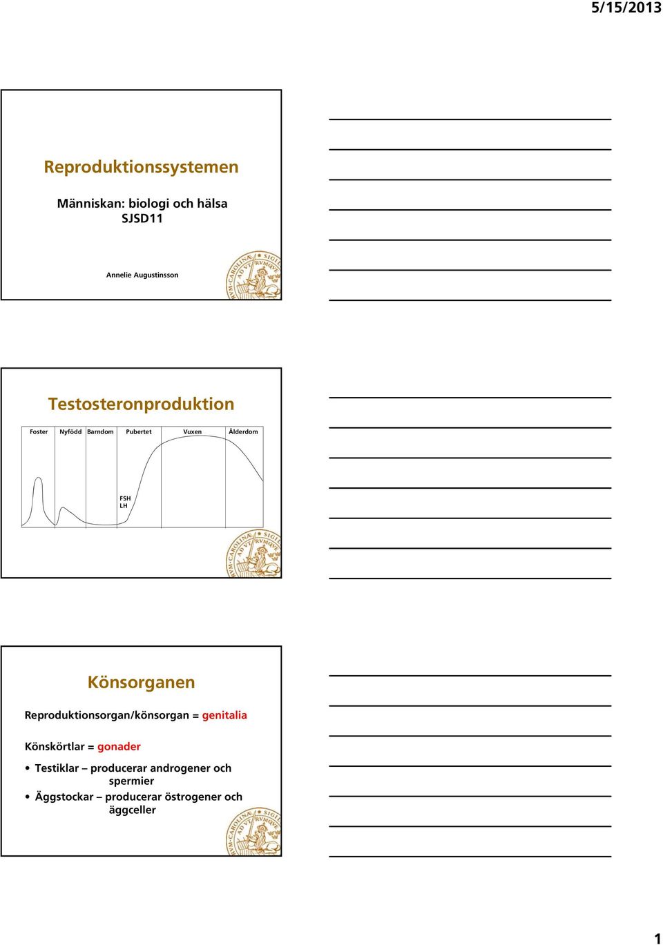 Könsorganen Reproduktionsorgan/könsorgan = genitalia Könskörtlar = gonader