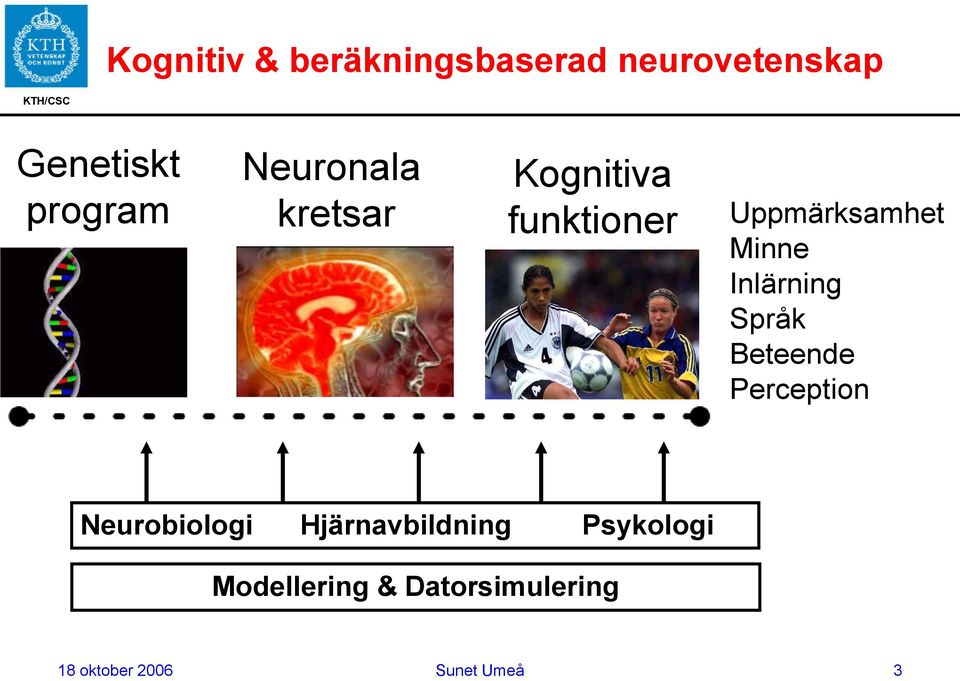 Minne Inlärning Språk Beteende Perception Neurobiologi