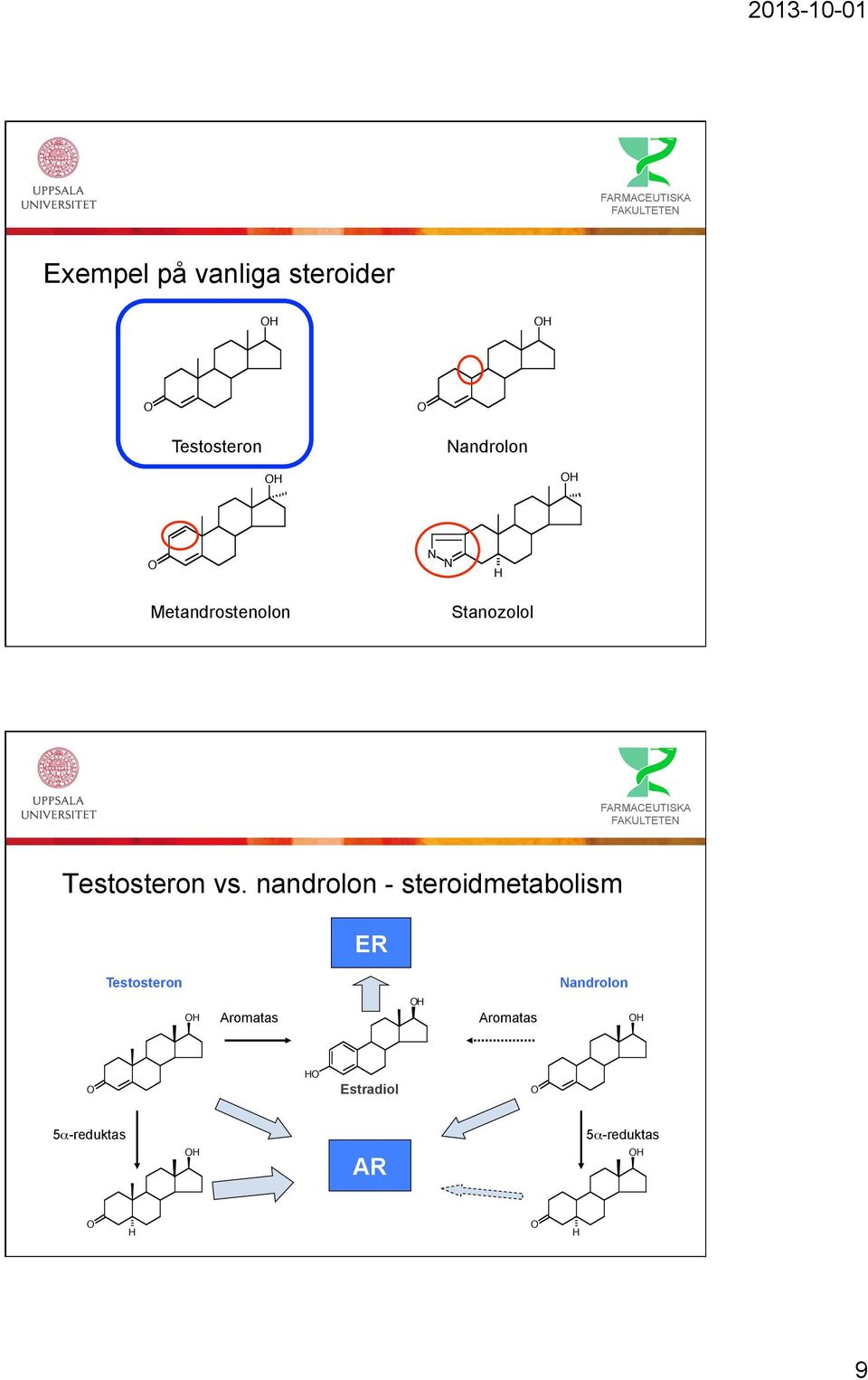 nandrolon - steroidmetabolism ER Testosteron Nandrolon