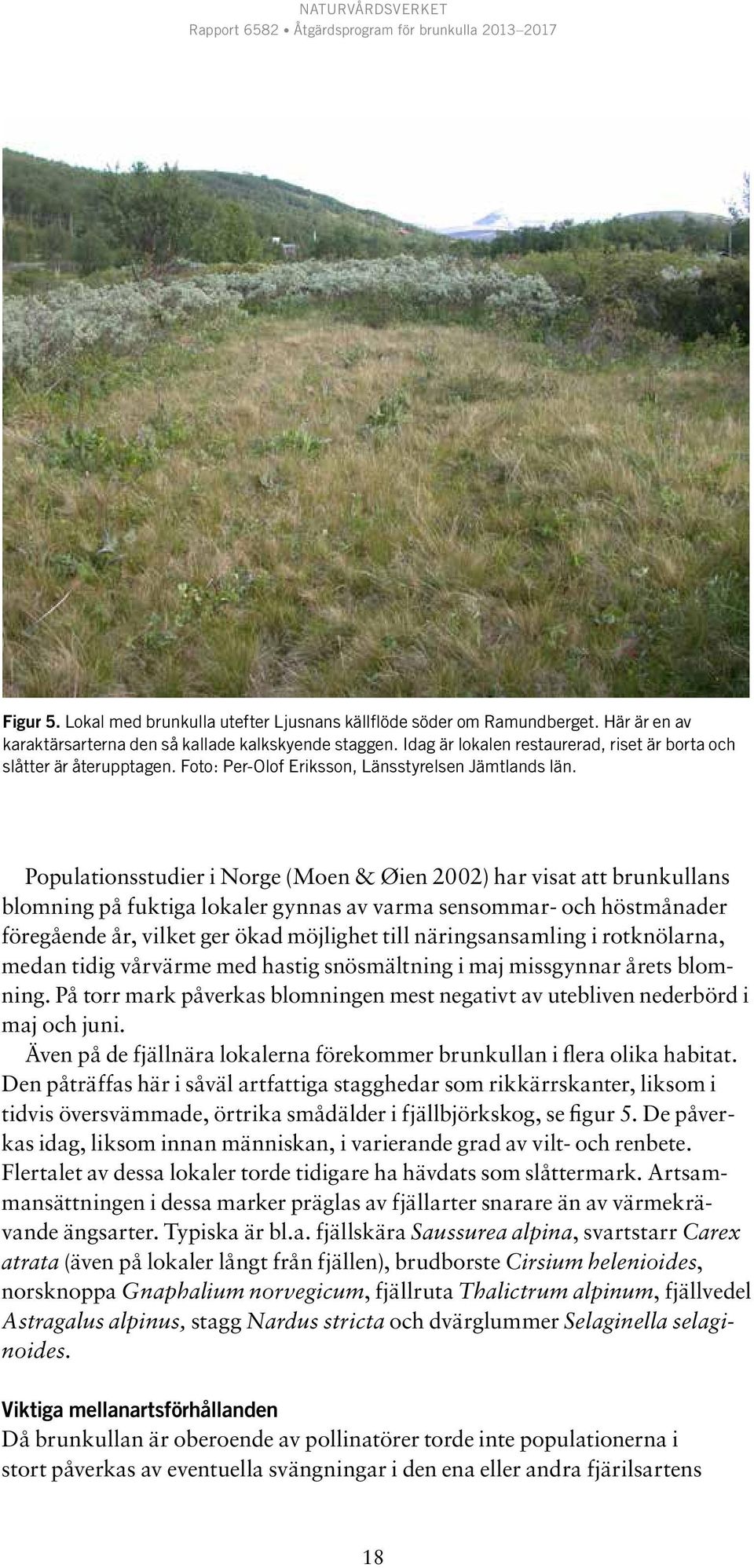 Populationsstudier i Norge (Moen & Øien 2002) har visat att brunkullans blomning på fuktiga lokaler gynnas av varma sensommar- och höstmånader föregående år, vilket ger ökad möjlighet till