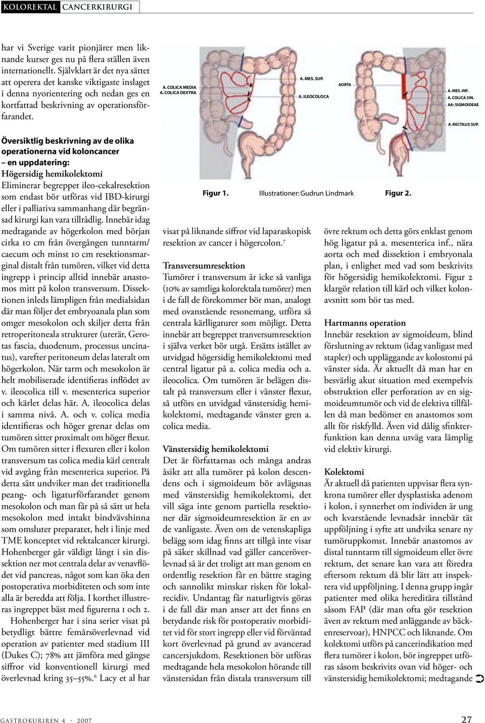 SUP. A. ILEOCOLOCA AORTA A. MES. INF. A. COLICA SIN. AA: SIGMOIDEAE A. RECTALIS SUP.