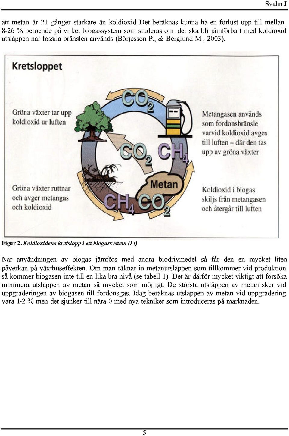 , & Berglund M., 2003). Figur 2. Koldioxidens kretslopp i ett biogassystem (I4) När användningen av biogas jämförs med andra biodrivmedel så får den en mycket liten påverkan på växthuseffekten.