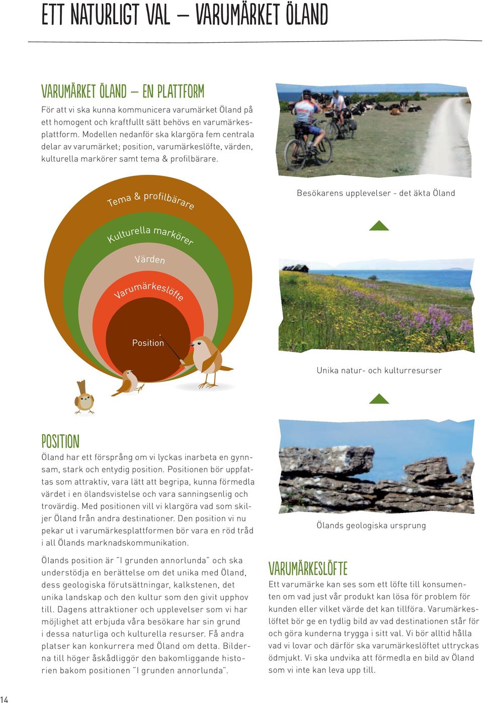 Tema & profilbärare Besökarens upplevelser - det äkta Öland Kulturella markörer Värden Varumärkeslöfte Position Unika natur- och kulturresurser position Öland har ett försprång om vi lyckas inarbeta