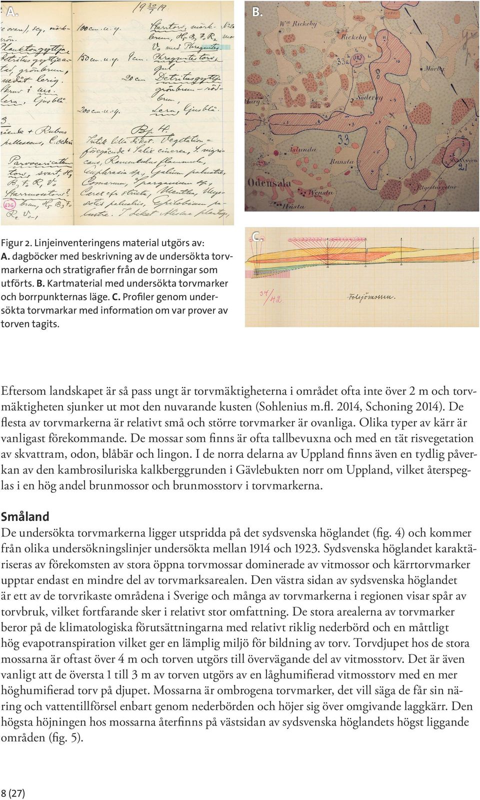 Profiler genom undersökta torvmarkar med information om var prover av torven tagits. B. C.