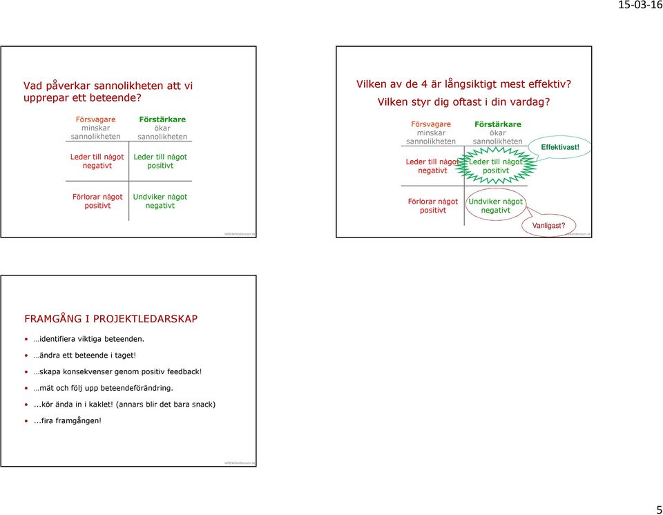 Förlorar något Undviker något Förlorar något Undviker något Vanligast? FRAMGÅNG I PROJEKTLEDARSKAP identifiera viktiga n.