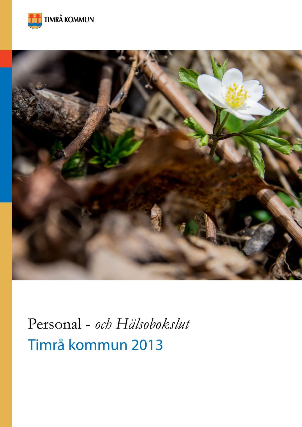 kommun 2013 PERSONAL-