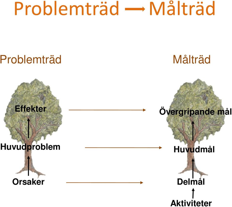 Huvudproblem Huvudmål