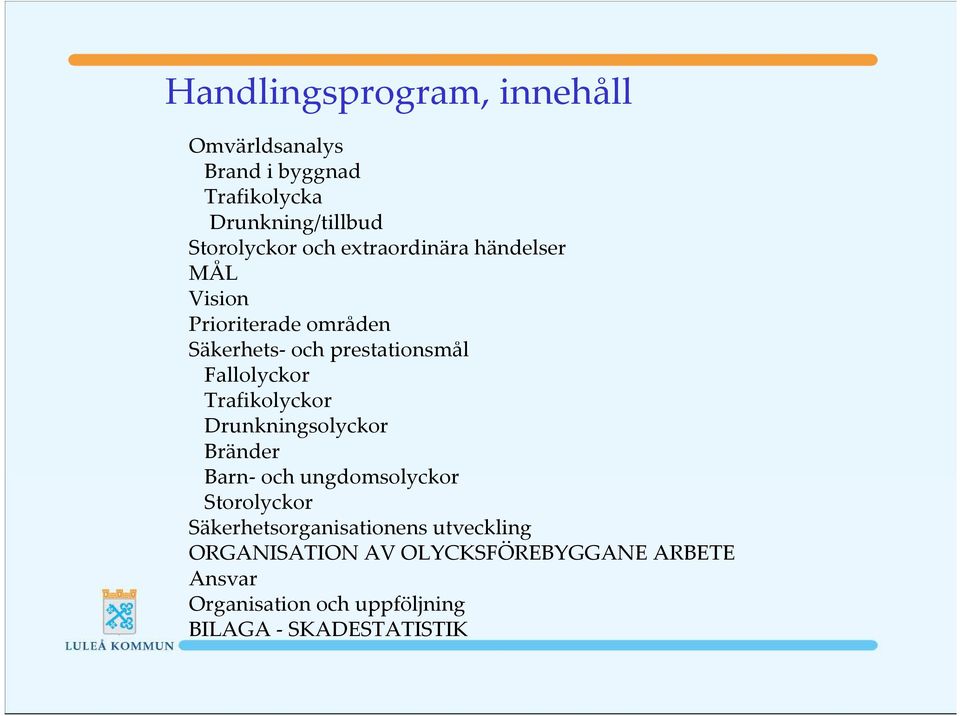 Trafikolyckor Drunkningsolyckor Bränder Barn- och ungdomsolyckor Storolyckor Säkerhetsorganisationens