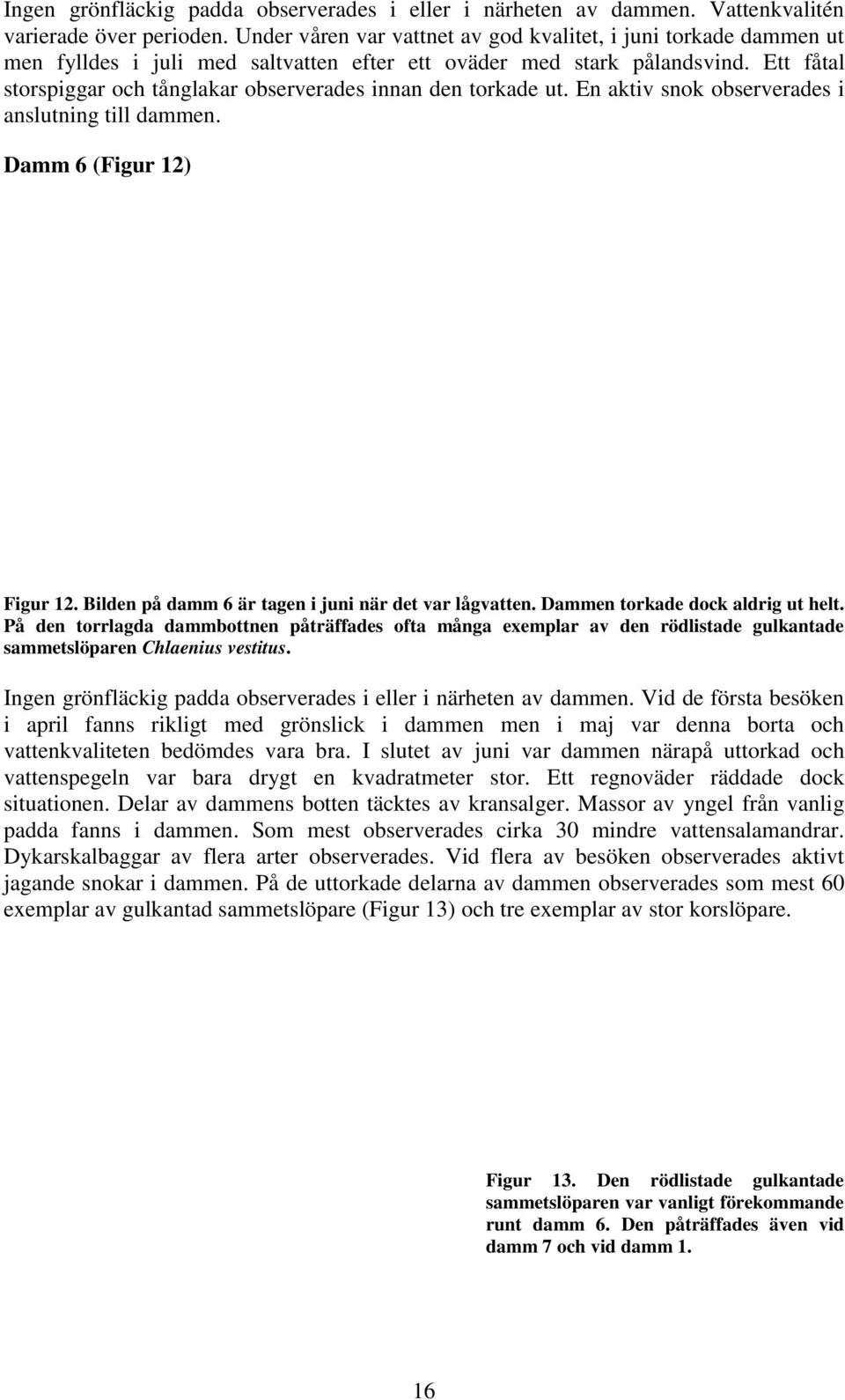 Ett fåtal storspiggar och tånglakar observerades innan den torkade ut. En aktiv snok observerades i anslutning till dammen. Damm 6 (Figur 12) Figur 12.