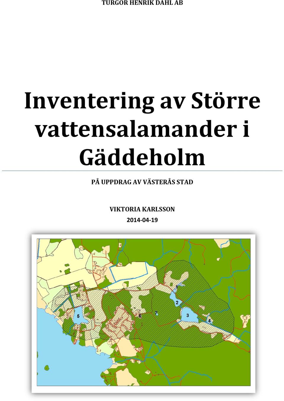 vattensalamander i Gäddeholm PÅ