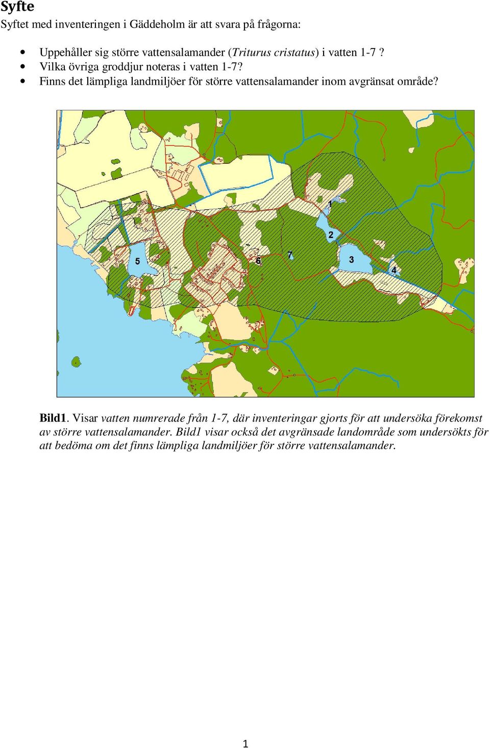 Finns det lämpliga landmiljöer för större vattensalamander inom avgränsat område? Bild1.