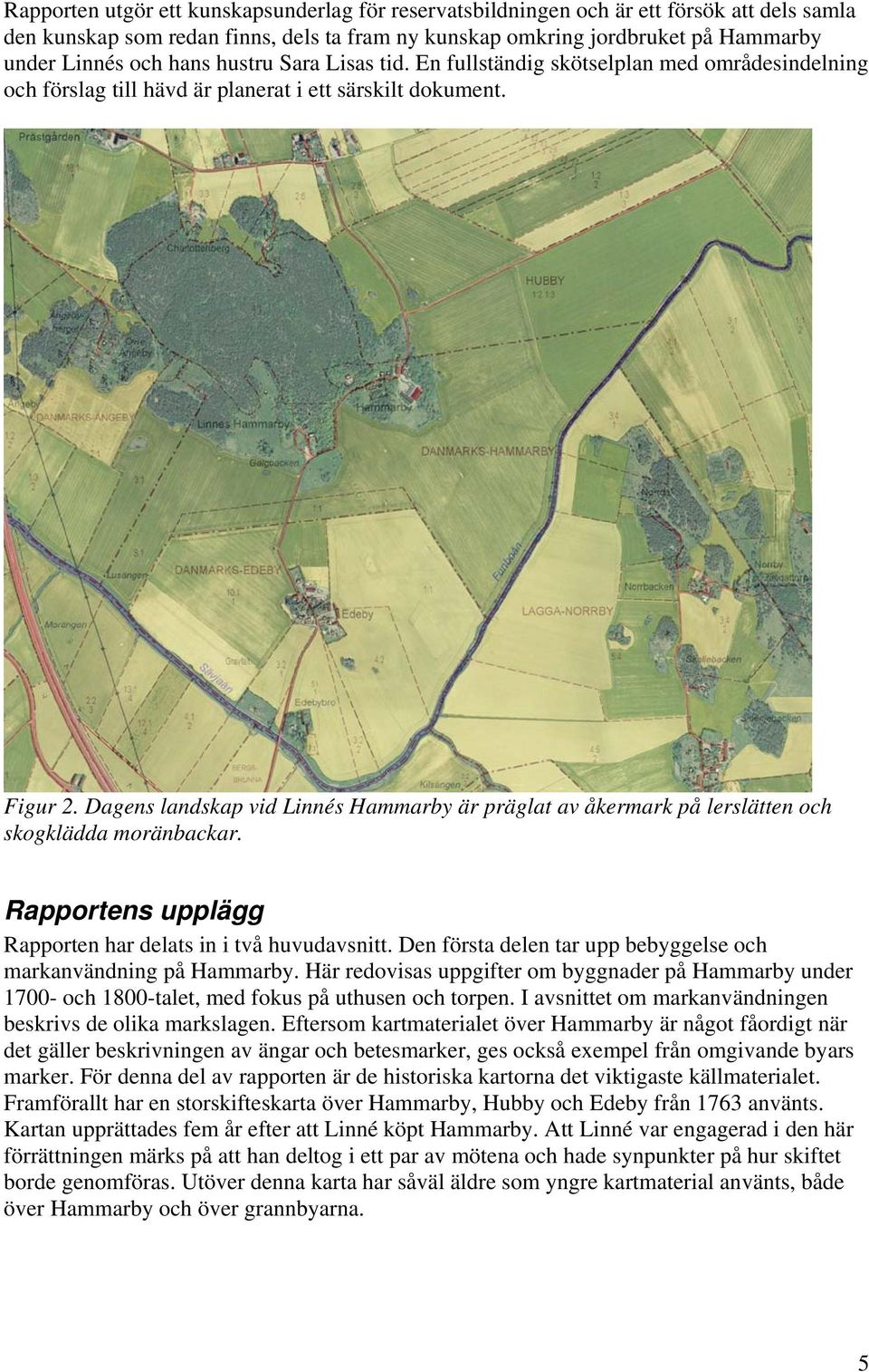 Dagens landskap vid Linnés Hammarby är präglat av åkermark på lerslätten och skogklädda moränbackar. Rapportens upplägg Rapporten har delats in i två huvudavsnitt.
