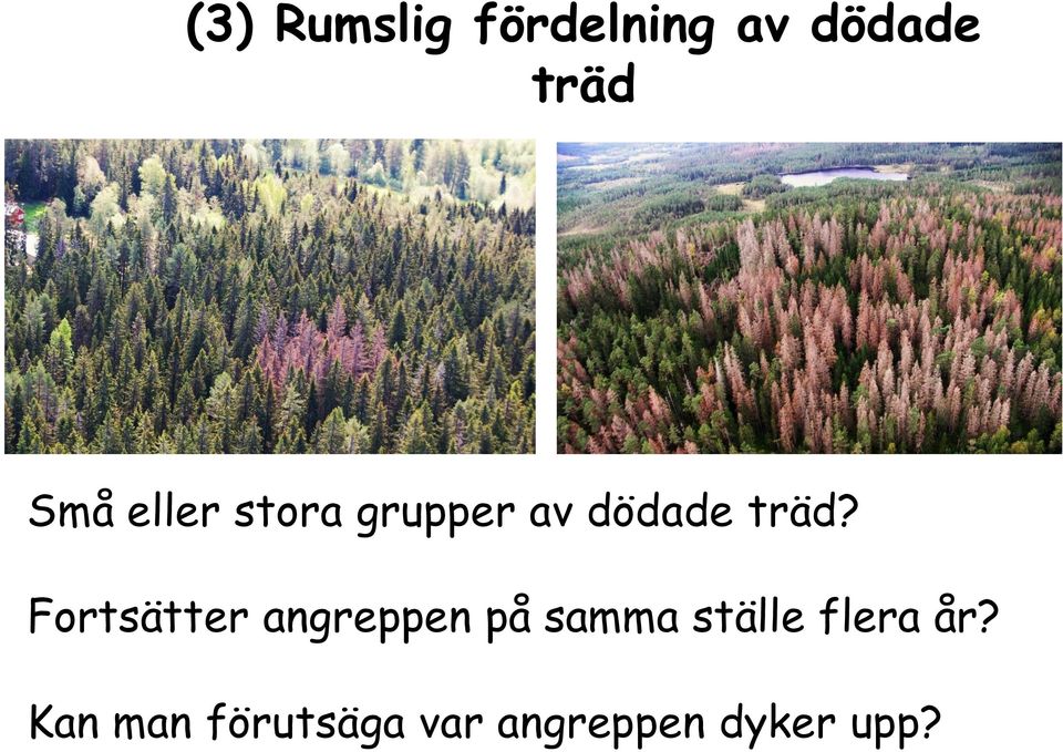 Fortsätter angreppen på samma ställe