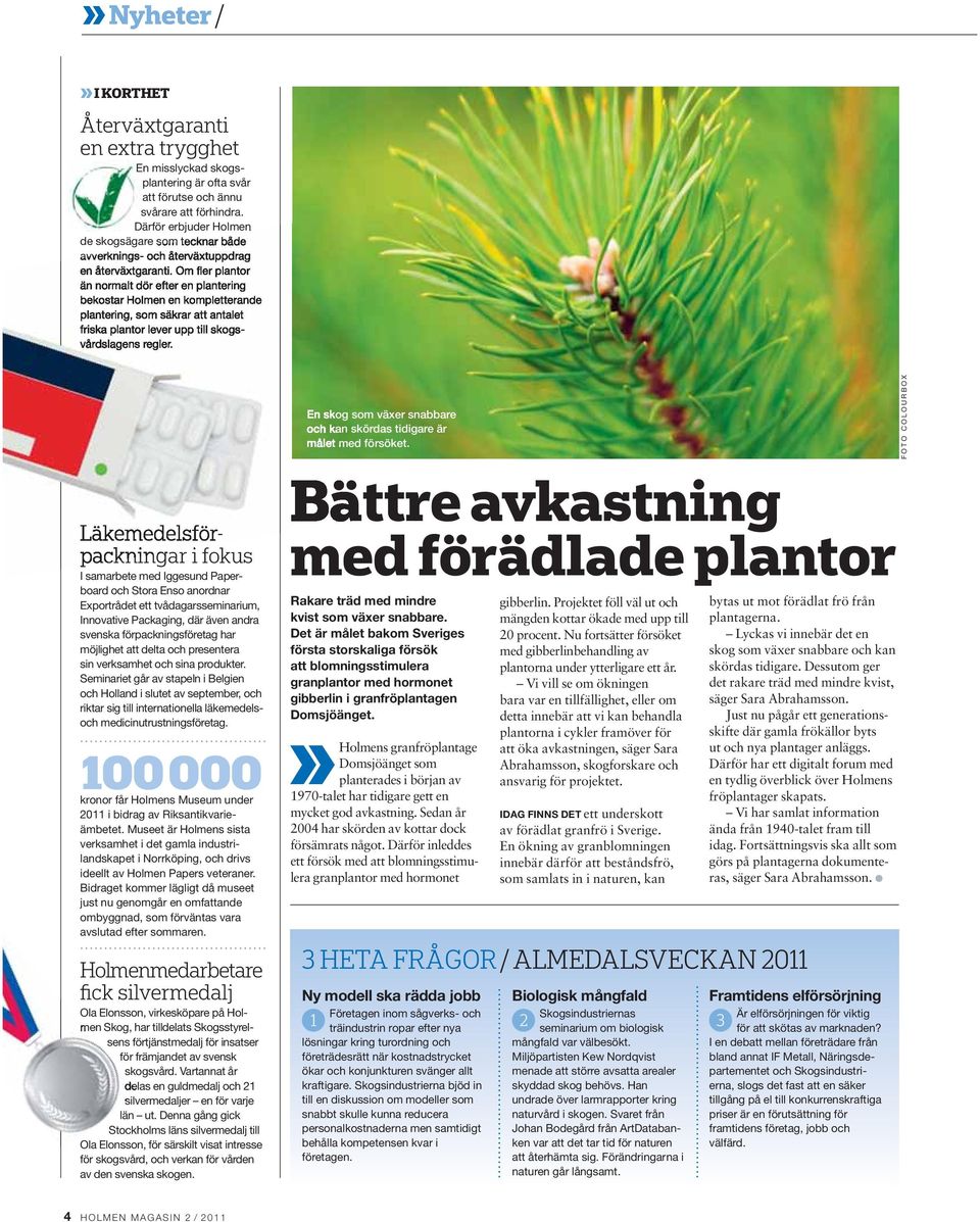 Om fler plantor än normalt dör efter en plantering bekostar Holmen en kompletterande plantering, som säkrar att antalet friska plantor lever upp till skogsvårdslagens regler.