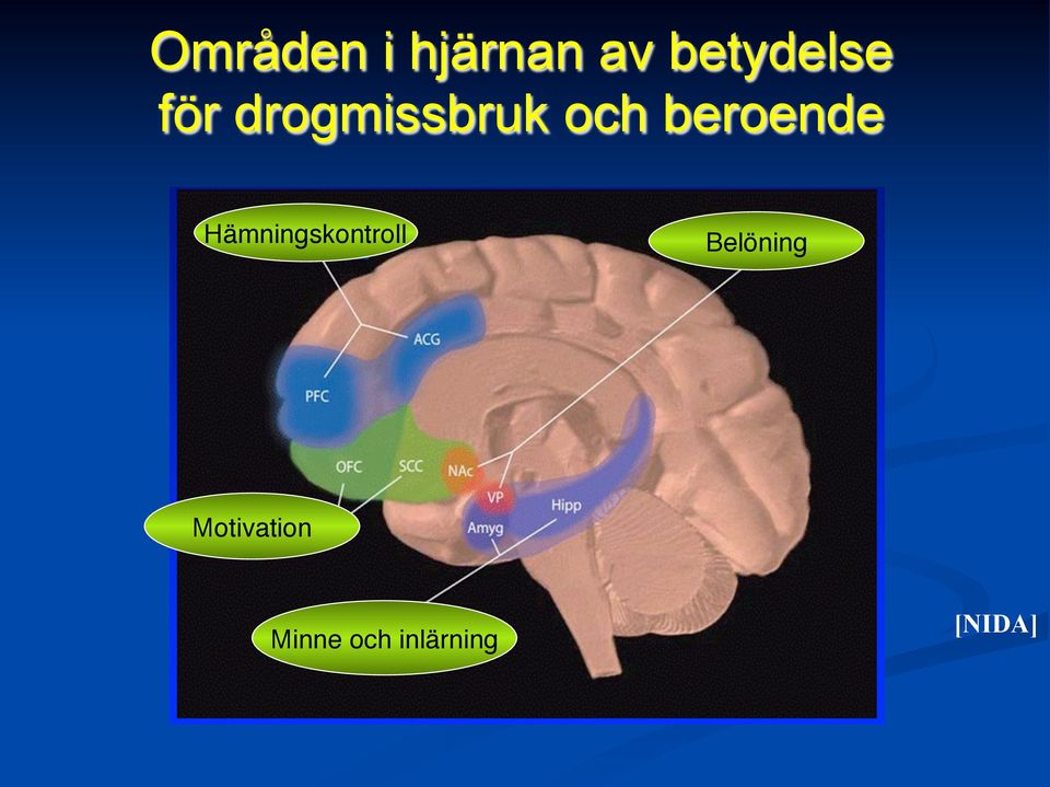 Hämningskontroll" Belöning"