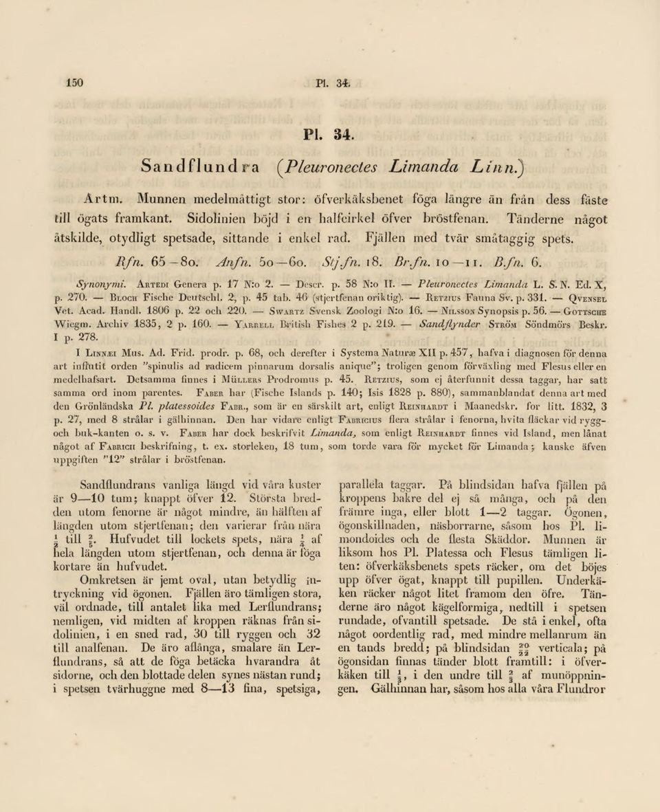 B.fa. 6. Synonymt. Artedi Genera p. 17 N:o 2. Doser. p. 58 N:o 11. Pleuronectes Limanda L. S.N. Ed. X, p. 270. Block Fische Deutschl. 2, p. 45 tab. 46 (srtjertfenan oriktig). Retzius FaunaSv.p.331.