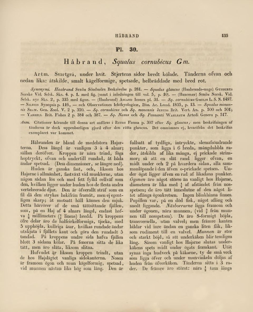 Squaius glaucus (liaabrands-unge) Gunnervs Norske Vid. Selsk. Skr. 4. p. 1. med fig. (samt i inledningen till vol. 5, p. 10). (Haaemaer) Ström Norsk. Vid. Yarrell Brit. Fishes 2 p. 384 och 387. Sq.