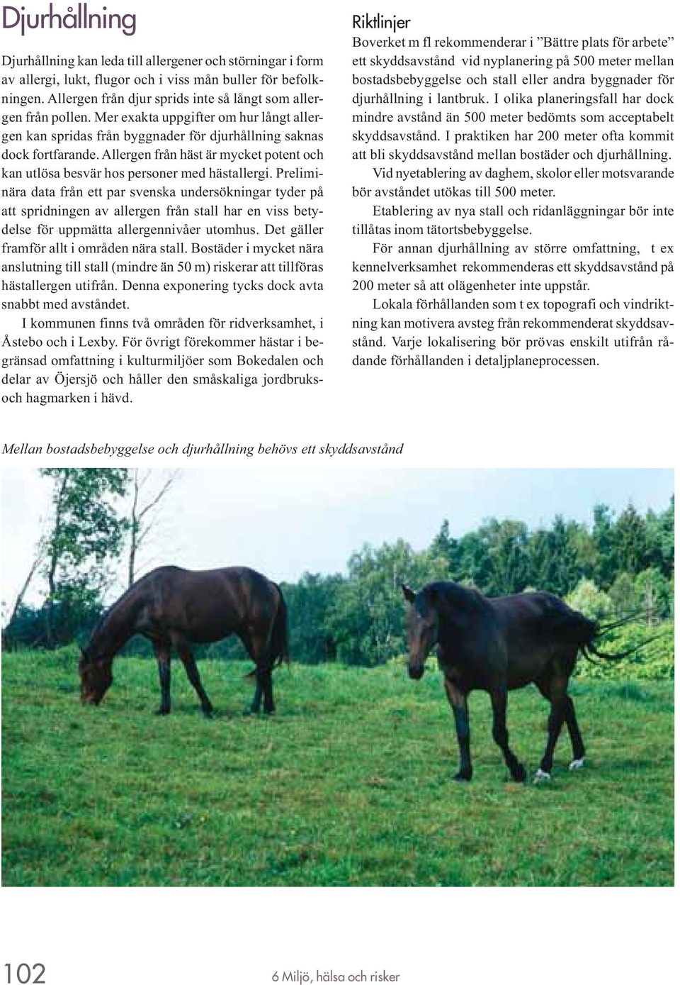 Allergen från häst är mycket potent och kan utlösa besvär hos personer med hästallergi.