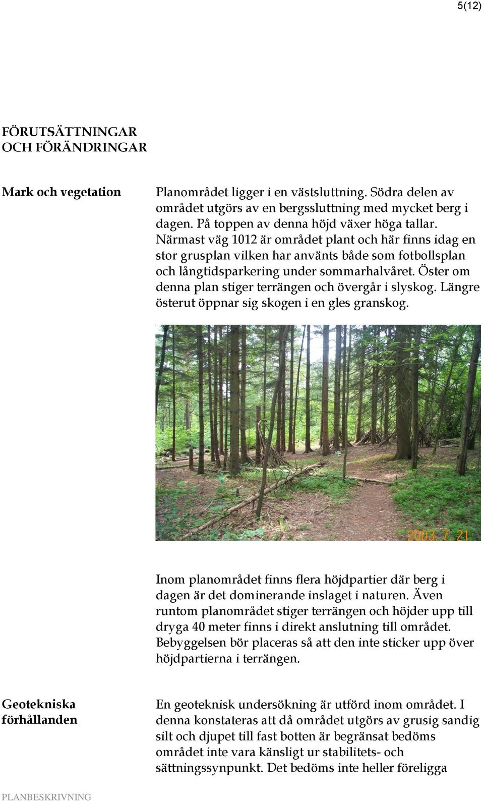 Öster om denna plan stiger terrängen och övergår i slyskog. Längre österut öppnar sig skogen i en gles granskog.