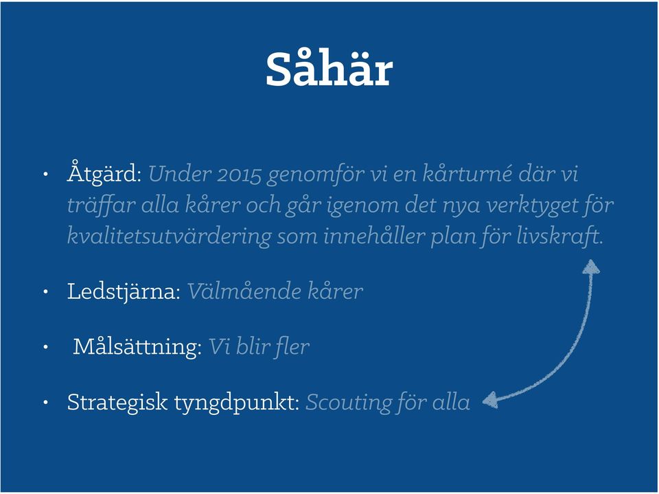 kvalitetsutvärdering som innehåller plan för livskraft.