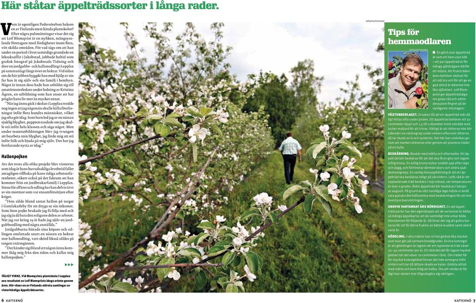 För vad sägs om att han under en period i livet samtidigt grundade en leksaksaffär i Jakobstad, jobbade heltid som grafisk fotograf på Jakobstads Tidning och drev en jordgubbs- och hallonodling i