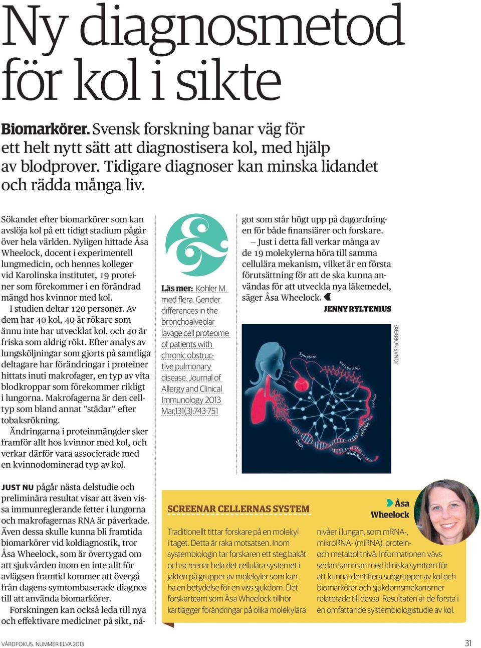 Nyligen hittade Åsa Wheelock, docent i experimentell lungmedicin, och hennes kolleger vid Karolinska institutet, 19 proteiner som förekommer i en förändrad mängd hos kvinnor med kol.