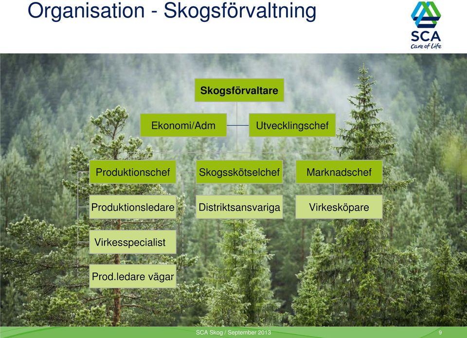 Skogsskötselchef Marknadschef Produktionsledare