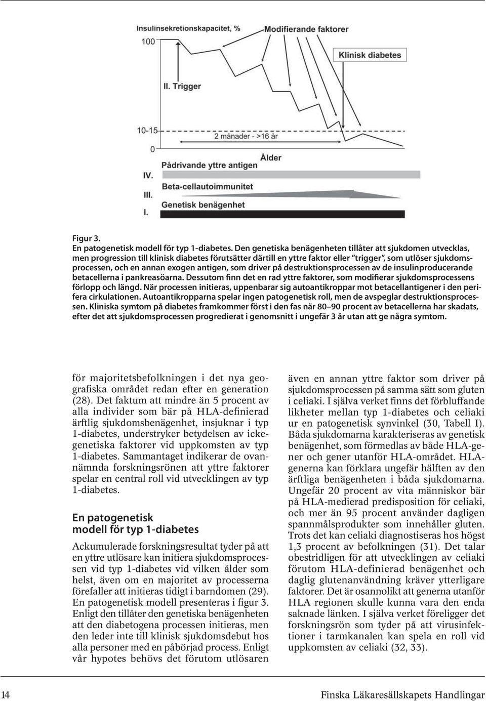 exogen antigen, som driver på destruktionsprocessen av de insulinproducerande betacellerna i pankreasöarna.