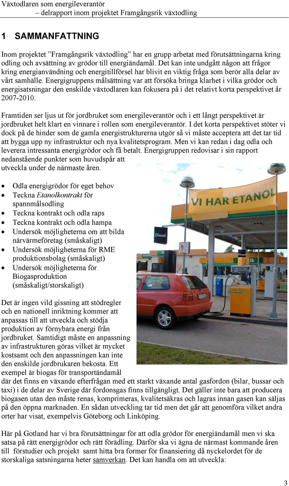 Energigruppens målsättning var att försöka bringa klarhet i vilka grödor och energisatsningar den enskilde växtodlaren kan fokusera på i det relativt korta perspektivet år 2007-2010.