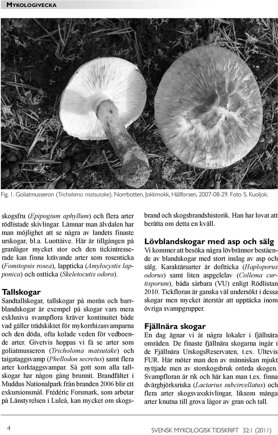 Här är tillgången på granlågor mycket stor och den tickintresserade kan finna krävande arter som rosenticka (Fomitopsis rosea), lappticka (Amylocystis lapponica) och ostticka (Skeletocutis odora).