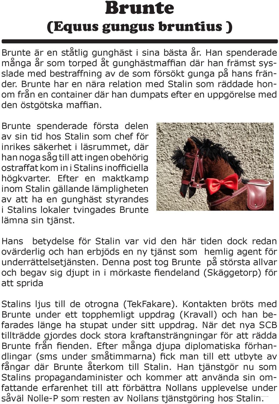 Brunte har en nära relation med Stalin som räddade honom från en container där han dumpats efter en uppgörelse med den östgötska maffian.