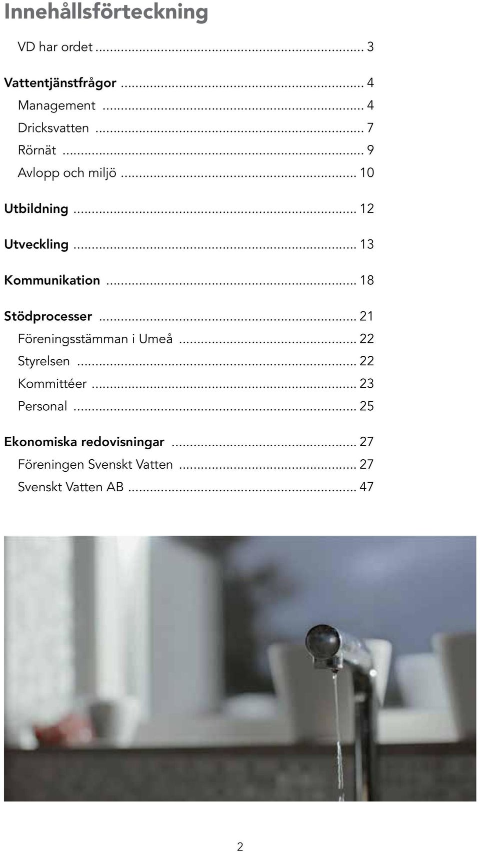 .. 18 Stödprocesser... 21 Föreningsstämman i Umeå... 22 Styrelsen... 22 Kommittéer.