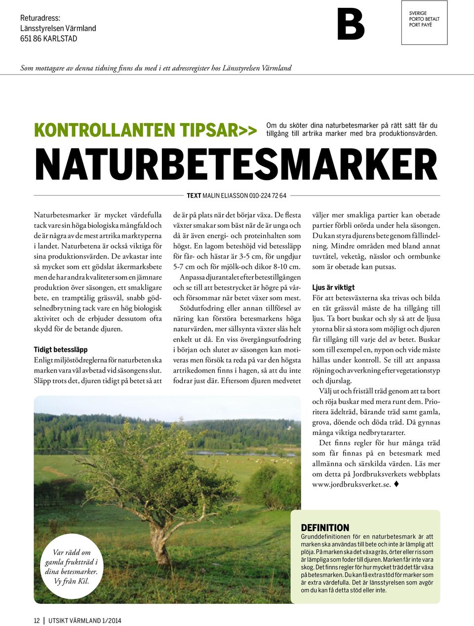 Naturbetesmarker TEXT Malin Eliasson 010-224 72 64 Naturbetesmarker är mycket värdefulla tack vare sin höga biologiska mångfald och de är några av de mest artrika marktyperna i landet.