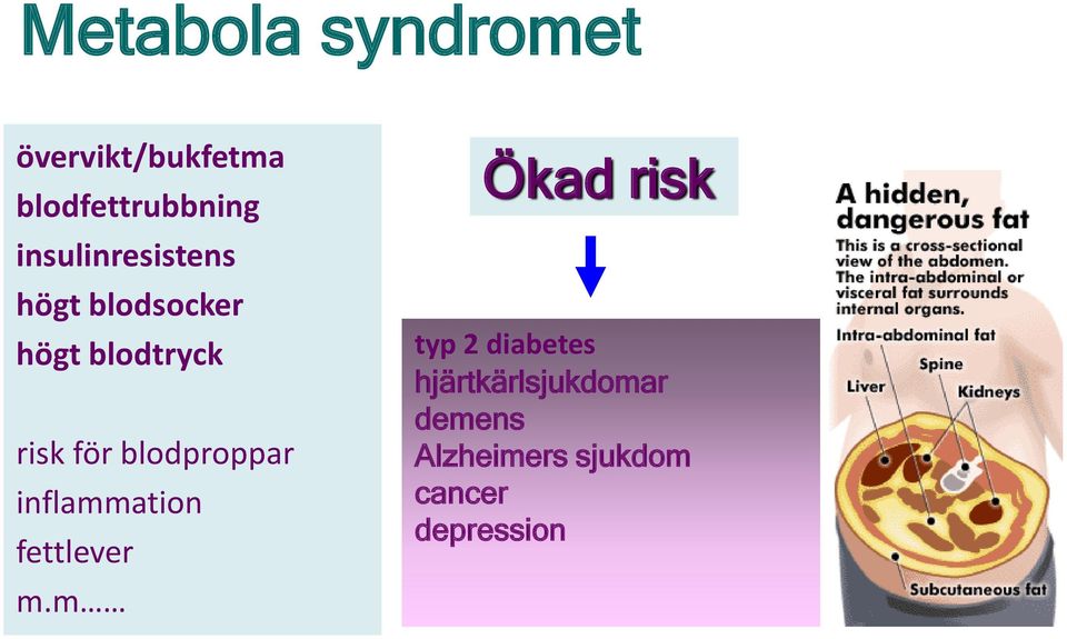 blodproppar inflammation fettlever m.