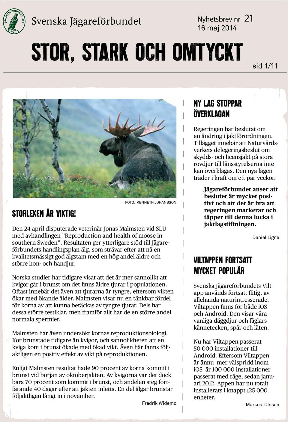 Storleken är viktig! Foto: Kenneth Johansson Den 24 april disputerade veterinär Jonas Malmsten vid SLU med avhandlingen Reproduction and health of moose in southern Sweden.