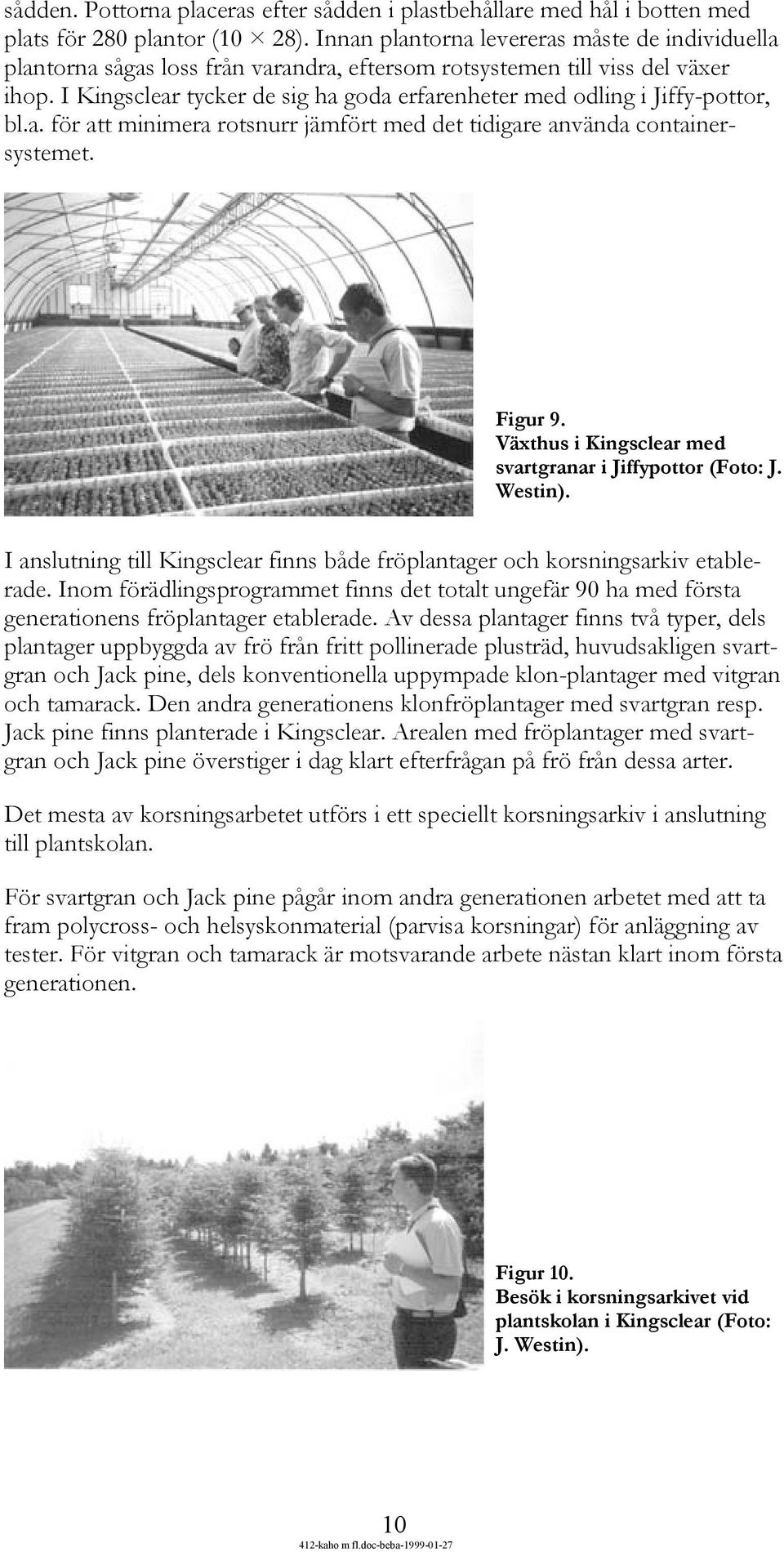 I Kingsclear tycker de sig ha goda erfarenheter med odling i Jiffy-pottor, bl.a. för att minimera rotsnurr jämfört med det tidigare använda containersystemet. Figur 9.