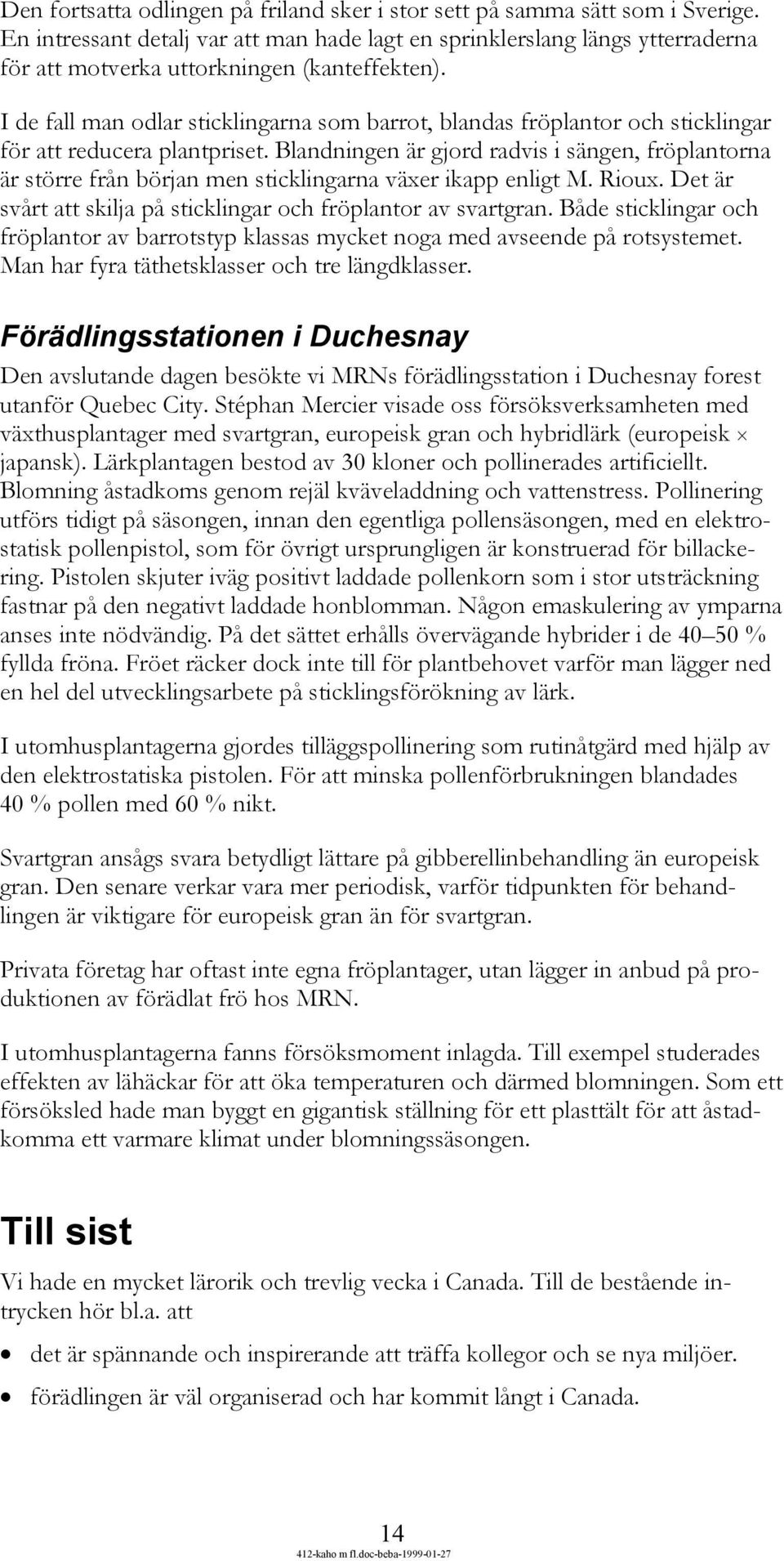 I de fall man odlar sticklingarna som barrot, blandas fröplantor och sticklingar för att reducera plantpriset.