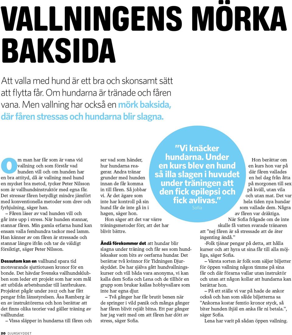 Om man har får som är vana vid vallning och som förstår vad hunden vill och om hunden har en bra attityd, då är vallning med hund en mycket bra metod, tycker Peter Nilsson som är vallhundsinstruktör