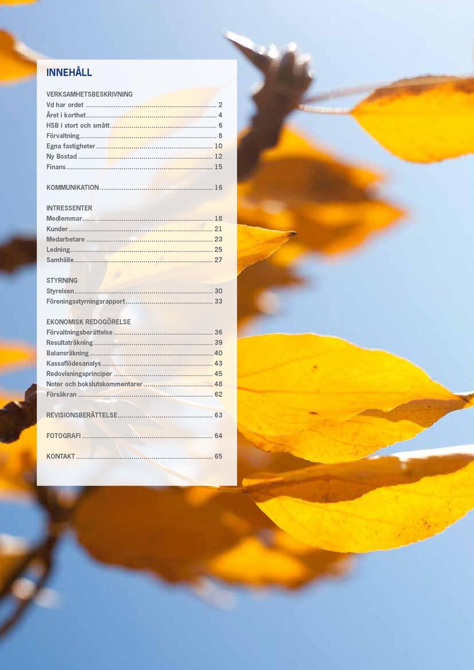 .. 30 Föreningsstyrningsrapport... 33 EKONOMISK REDOGÖRELSE Förvaltningsberättelse... 36 Resultaträkning... 39 Balansräkning.