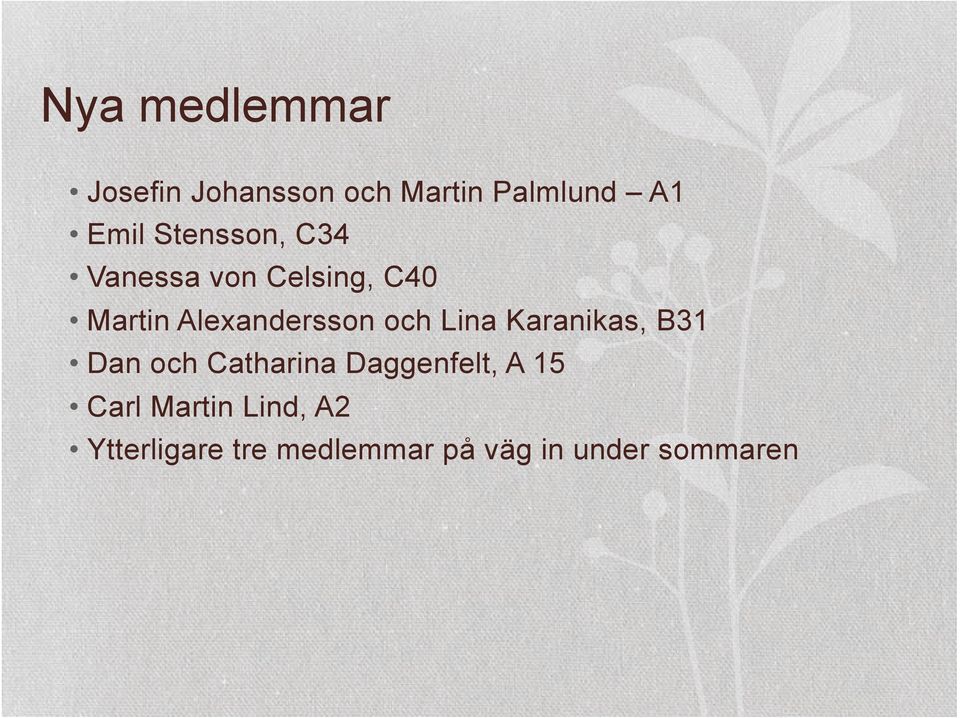 och Lina Karanikas, B31 Dan och Catharina Daggenfelt, A 15