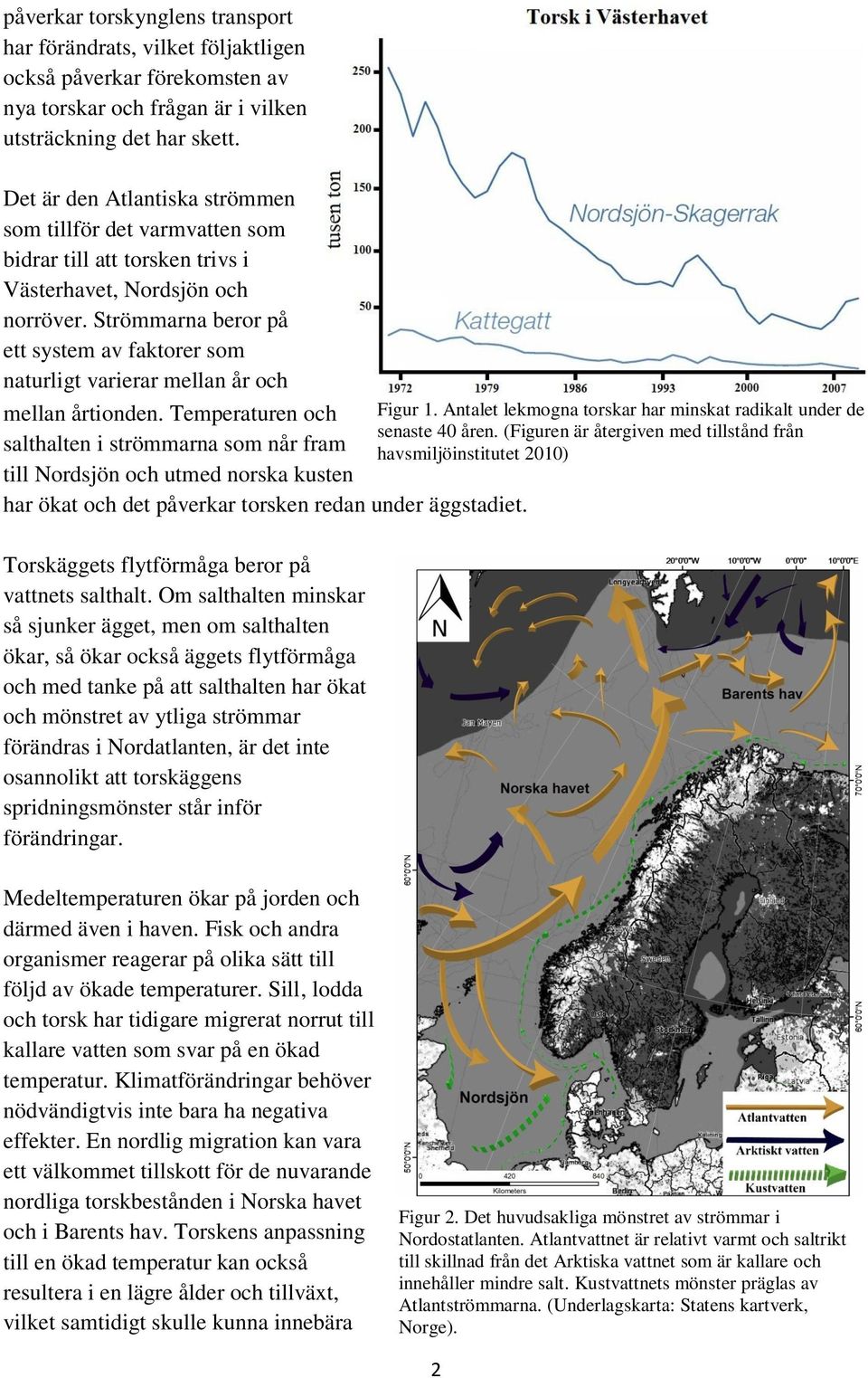 Strömmarna beror på ett system av faktorer som naturligt varierar mellan år och mellan årtionden. Temperaturen och Figur 1. Antalet lekmogna torskar har minskat radikalt under de senaste 40 åren.